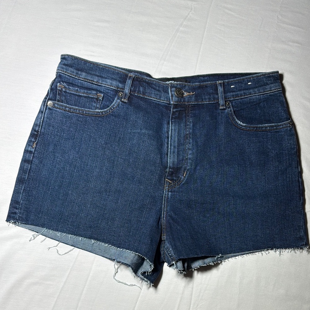 Express Blue Jean Shorts with Frayed Hem